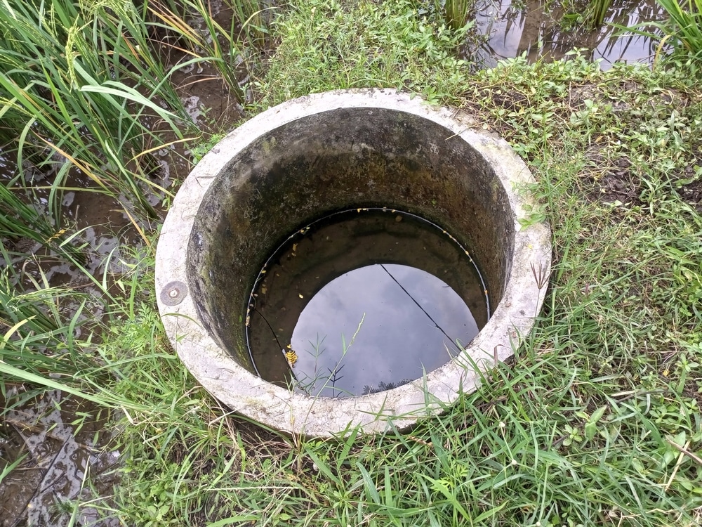 Puits en béton dans une rizière : eau et nature sauvage Puits artisanal en béton rempli d'eau réfléchissant le ciel, entouré de végétation sauvage et d'une rizière.